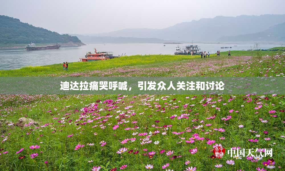 迪达拉痛哭呼喊，引发众人关注和讨论