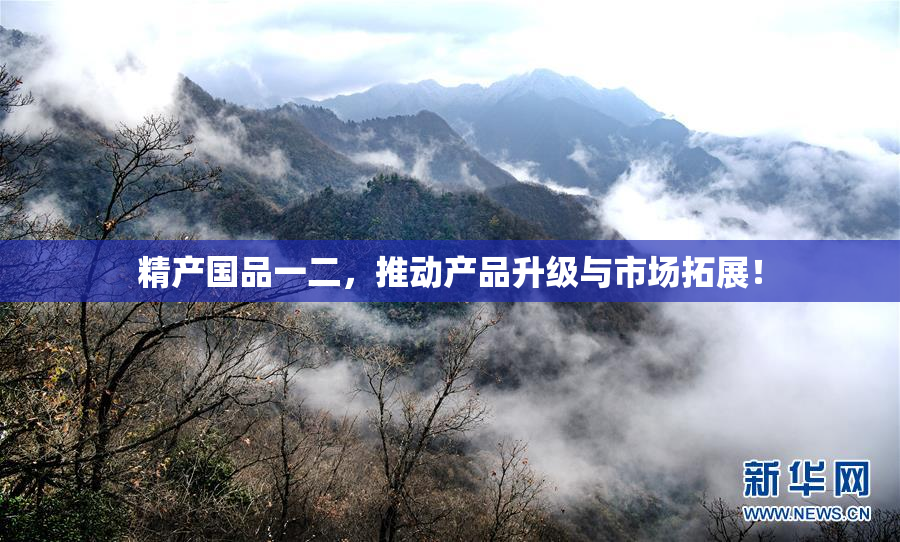 精产国品一二，推动产品升级与市场拓展！