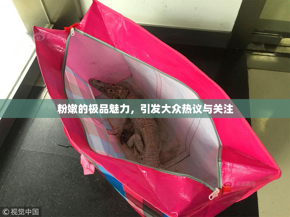 粉嫩的极品魅力，引发大众热议与关注