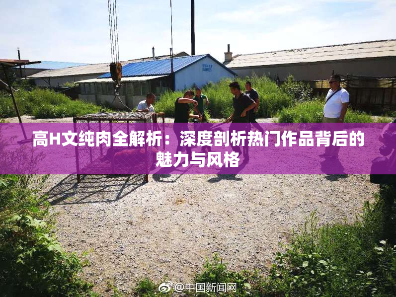 高H文纯肉全解析：深度剖析热门作品背后的魅力与风格