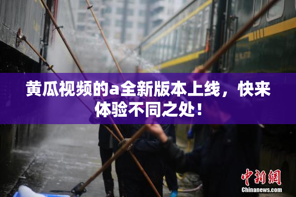 黄瓜视频的a全新版本上线，快来体验不同之处！