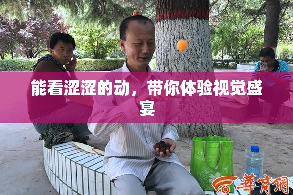能看涩涩的动，带你体验视觉盛宴