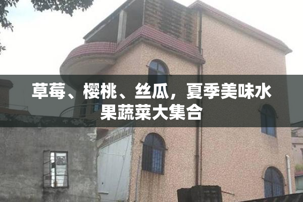 草莓、樱桃、丝瓜，夏季美味水果蔬菜大集合