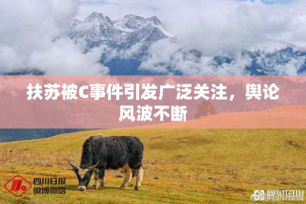 扶苏被C事件引发广泛关注，舆论风波不断