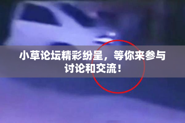 小草论坛精彩纷呈，等你来参与讨论和交流！