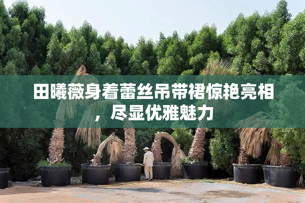 田曦薇身着蕾丝吊带裙惊艳亮相，尽显优雅魅力