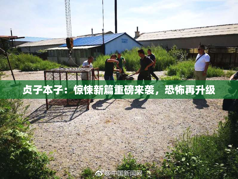 贞子本子：惊悚新篇重磅来袭，恐怖再升级