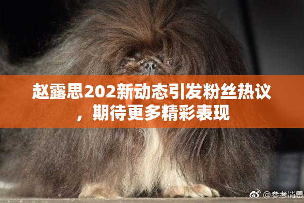 赵露思202新动态引发粉丝热议，期待更多精彩表现