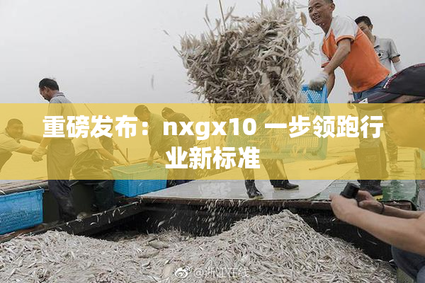 重磅发布：nxgx10 一步领跑行业新标准