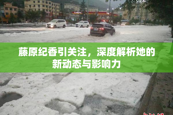 藤原纪香引关注，深度解析她的新动态与影响力