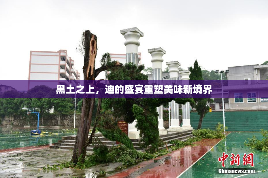 黑土之上，迪的盛宴重塑美味新境界