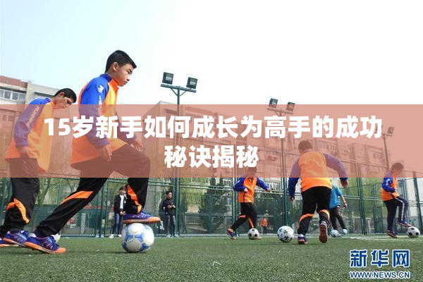15岁新手如何成长为高手的成功秘诀揭秘