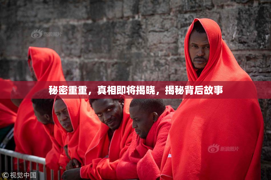 秘密重重，真相即将揭晓，揭秘背后故事