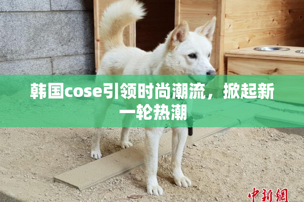 韩国cose引领时尚潮流，掀起新一轮热潮