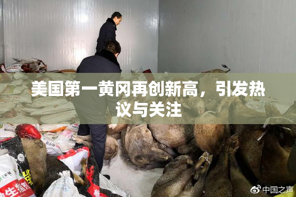 美国第一黄冈再创新高，引发热议与关注