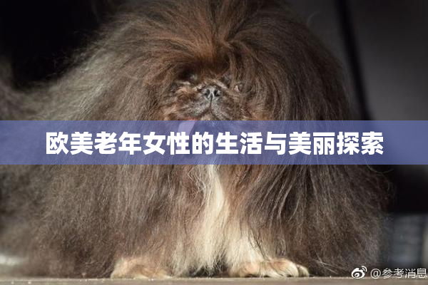 欧美老年女性的生活与美丽探索