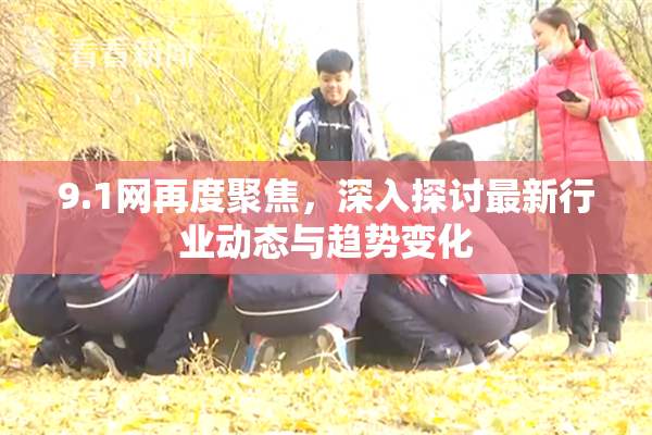 9.1网再度聚焦，深入探讨最新行业动态与趋势变化