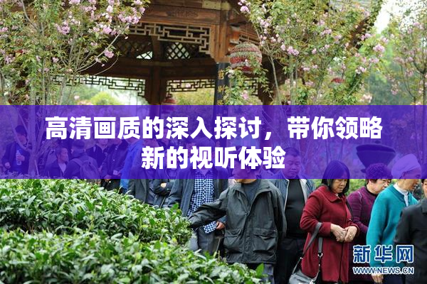 高清画质的深入探讨，带你领略新的视听体验