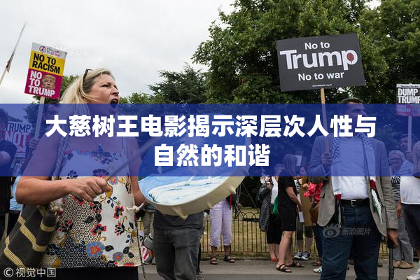 大慈树王电影揭示深层次人性与自然的和谐