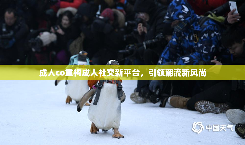 成人co重构成人社交新平台，引领潮流新风尚