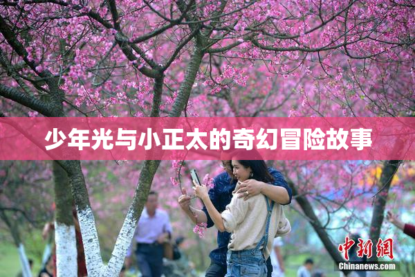 少年光与小正太的奇幻冒险故事