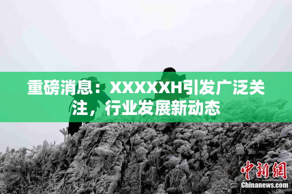重磅消息：XXXXXH引发广泛关注，行业发展新动态