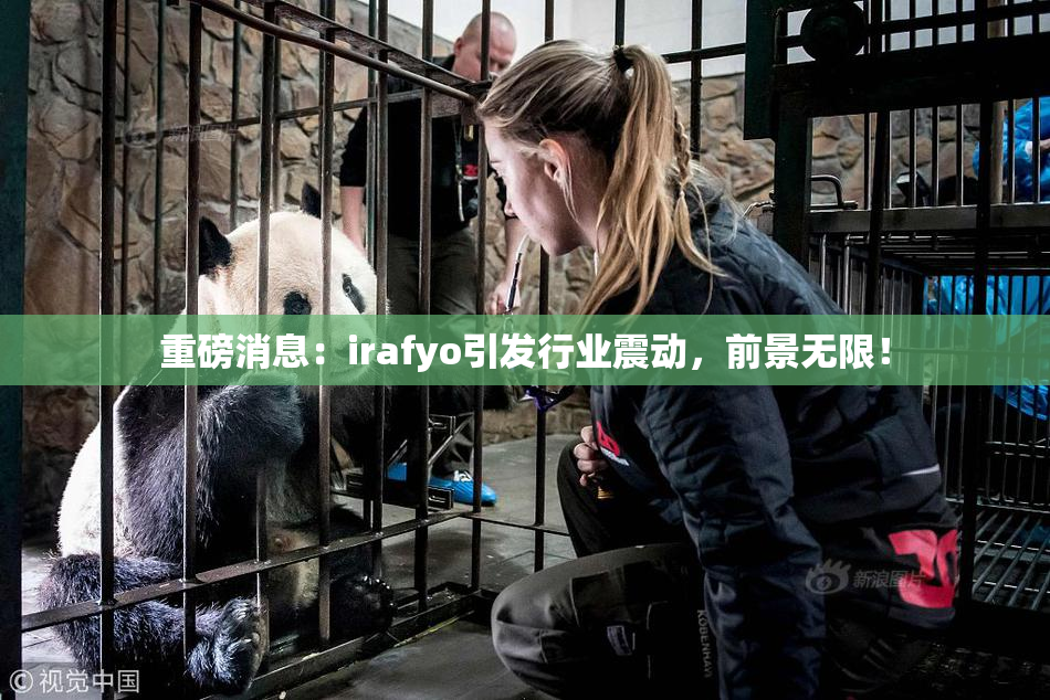 重磅消息：irafyo引发行业震动，前景无限！