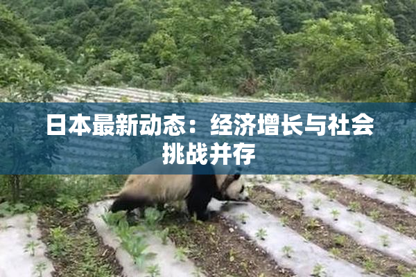 日本最新动态：经济增长与社会挑战并存