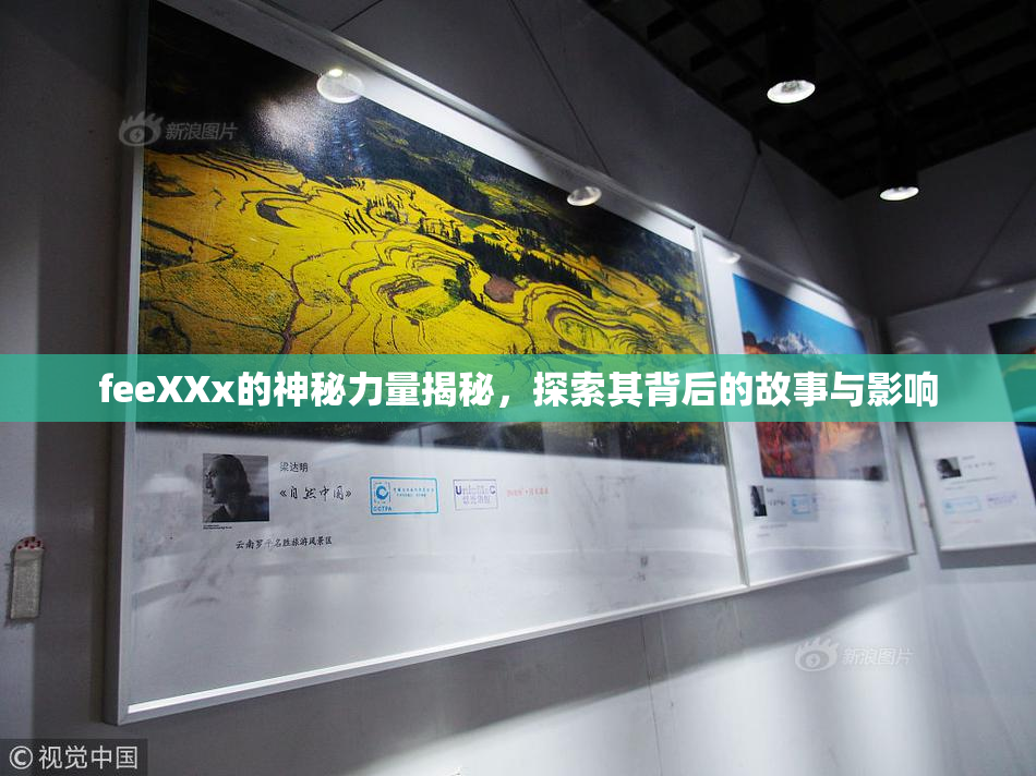 feeXXx的神秘力量揭秘，探索其背后的故事与影响