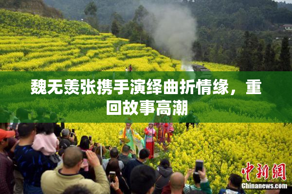 魏无羡张携手演绎曲折情缘，重回故事高潮