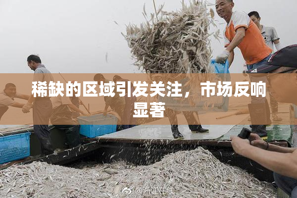 稀缺的区域引发关注，市场反响显著