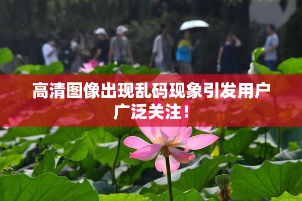 高清图像出现乱码现象引发用户广泛关注！