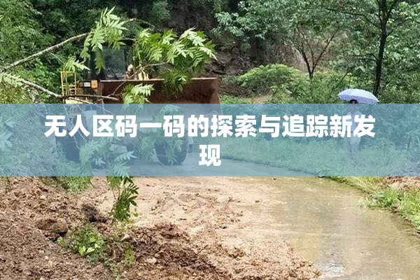 无人区码一码的探索与追踪新发现