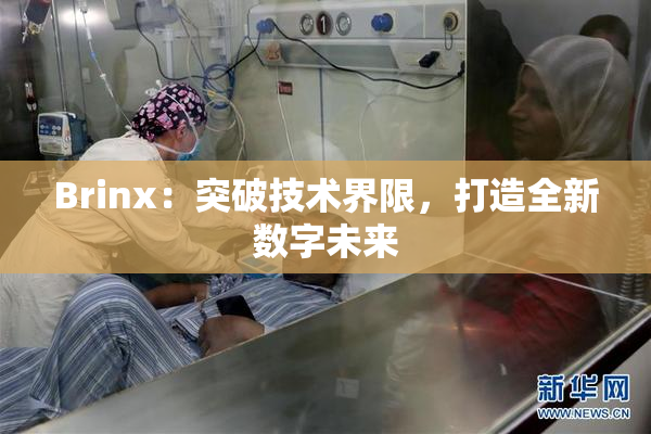Brinx：突破技术界限，打造全新数字未来