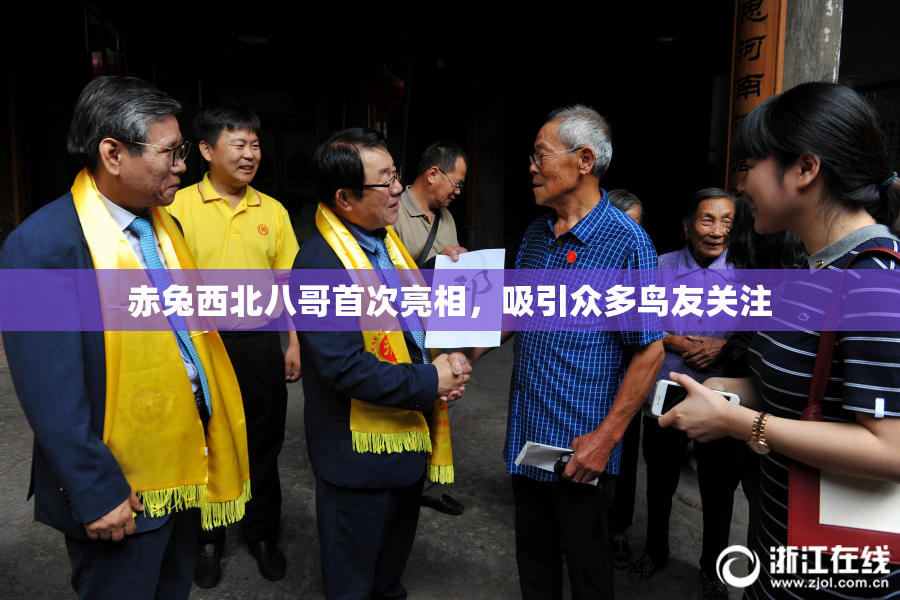 赤兔西北八哥首次亮相，吸引众多鸟友关注