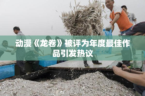 动漫《龙卷》被评为年度最佳作品引发热议