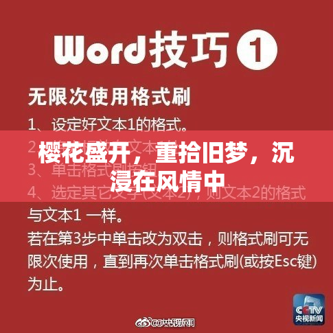 樱花盛开，重拾旧梦，沉浸在风情中