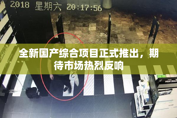 全新国产综合项目正式推出，期待市场热烈反响