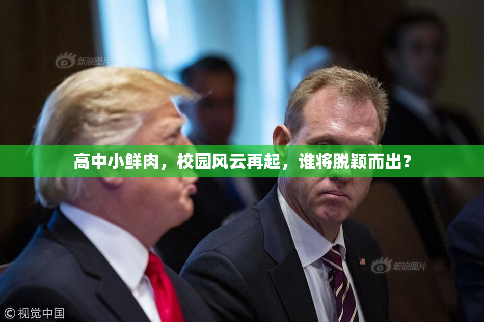 高中小鲜肉，校园风云再起，谁将脱颖而出？