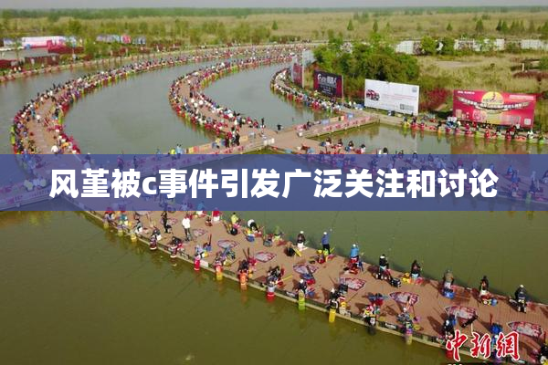 风堇被c事件引发广泛关注和讨论