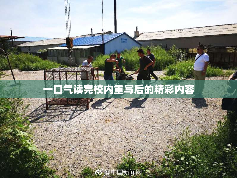 一口气读完校内重写后的精彩内容