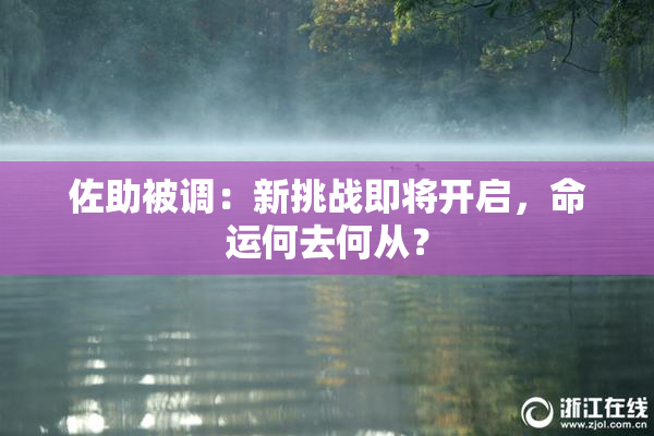 佐助被调：新挑战即将开启，命运何去何从？