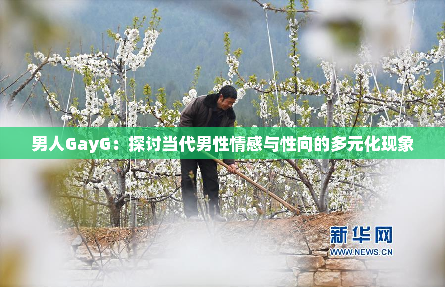 男人GayG：探讨当代男性情感与性向的多元化现象