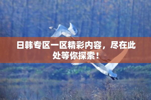 日韩专区一区精彩内容，尽在此处等你探索！