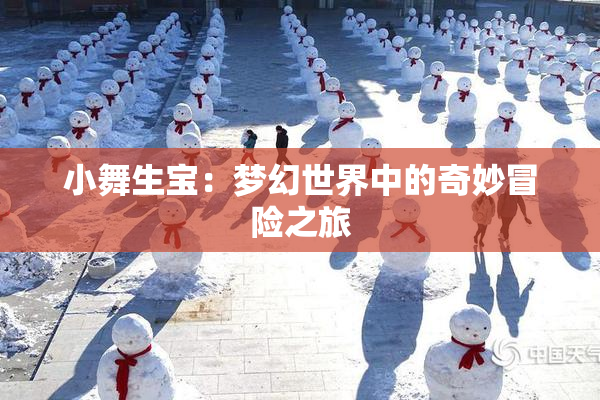 小舞生宝：梦幻世界中的奇妙冒险之旅