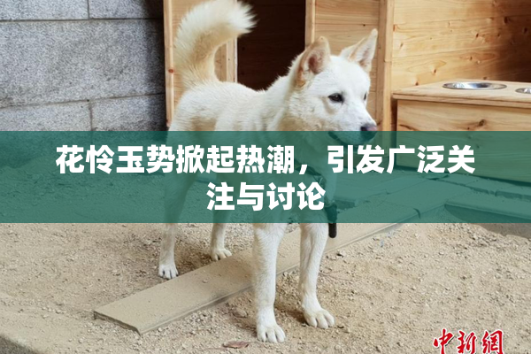 花怜玉势掀起热潮，引发广泛关注与讨论
