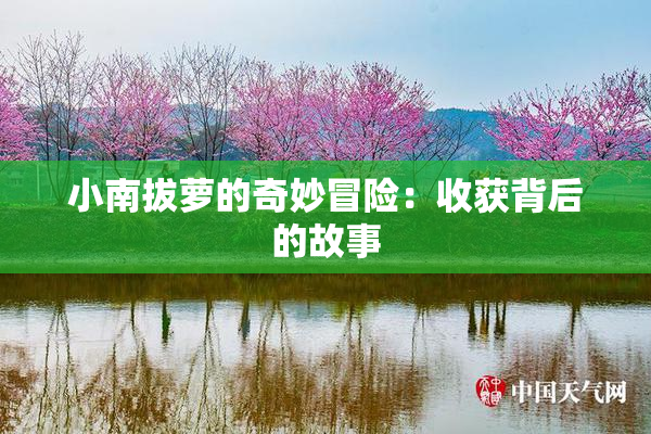 小南拔萝的奇妙冒险：收获背后的故事
