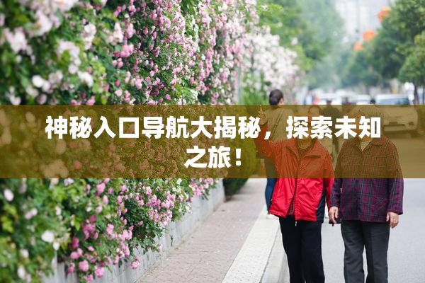 神秘入口导航大揭秘，探索未知之旅！