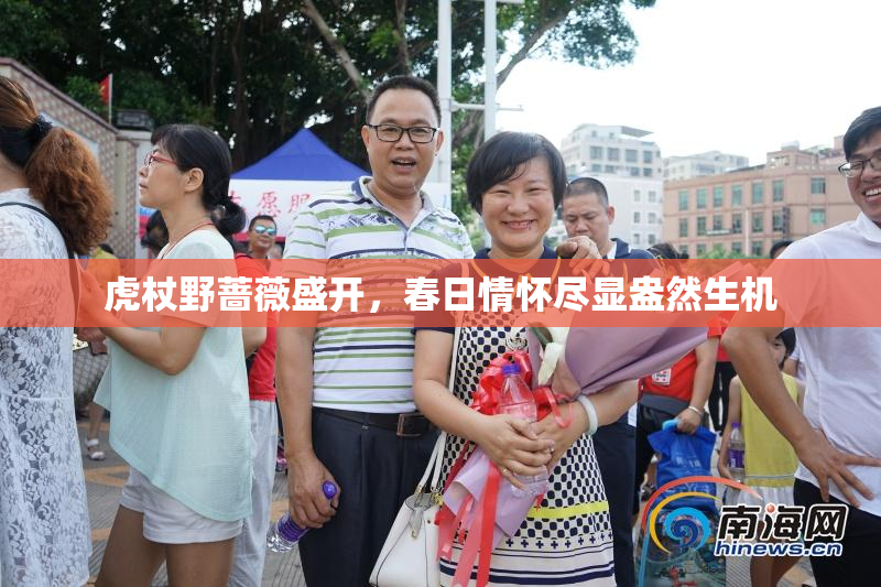 虎杖野蔷薇盛开，春日情怀尽显盎然生机