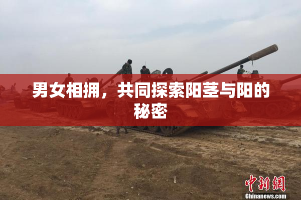 男女相拥，共同探索阳茎与阳的秘密